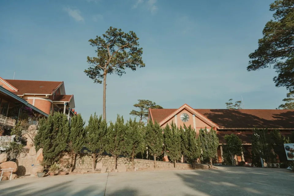 Không gian Đào Ngọc Đãi